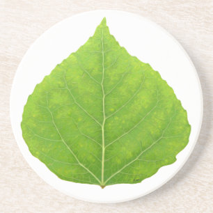 Green Aspen Leaf #11 Coaster