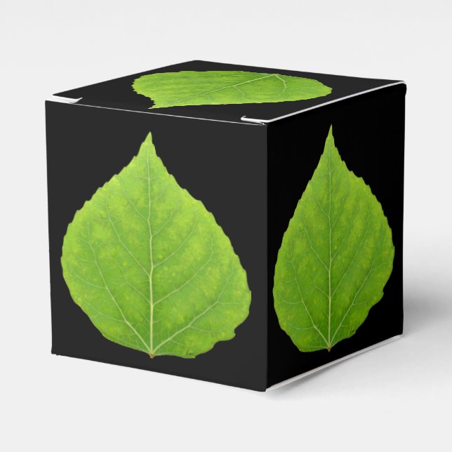 Green Aspen Leaf #11 Favor Boxes (Front Side)