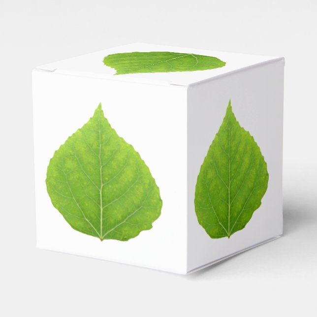 Green Aspen Leaf #11 Favor Boxes (Front Side)