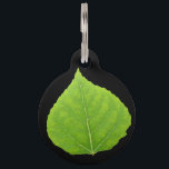 Green Aspen Leaf #11 Pet ID Tag<br><div class="desc">My painting of an aspen leaf in the bright greens of summer! 
Customize the back with your name & phone number!</div>