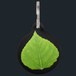Green Aspen Leaf #11 Pet ID Tag<br><div class="desc">My painting of an aspen leaf in the bright greens of summer! 
Customize the back with your name & phone number!</div>