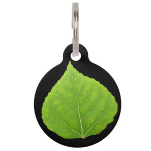 Green Aspen Leaf #11 Pet ID Tag