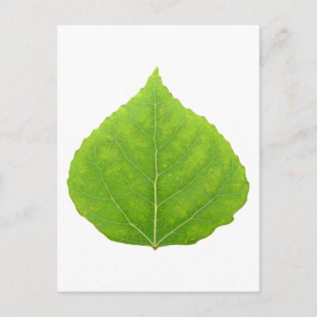 Green Aspen Leaf #11 Postcard (Front)