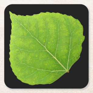 Green Aspen Leaf #11 Square Paper Coaster