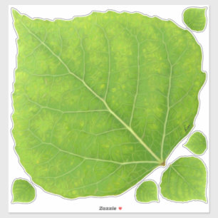 Green Aspen Leaf #11 Sticker