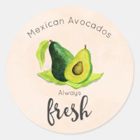 Green Avocado Still Life Fruit in Watercolors