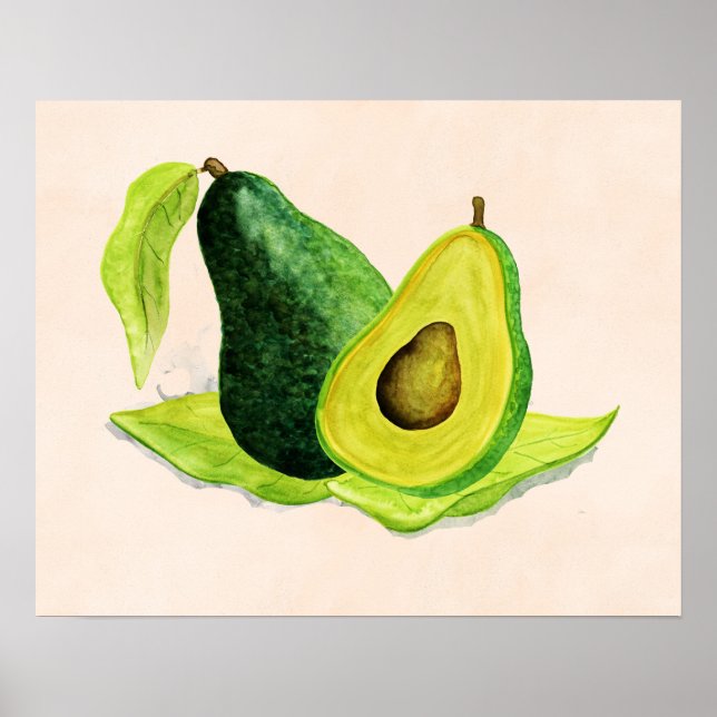 Green Avocado Still Life Fruit in Watercolors Poster (Front)