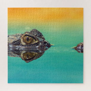 Green Baby Crocodile in Water with Blue and Orange Jigsaw Puzzle