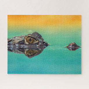 Green Baby Crocodile in Water with Blue and Orange Jigsaw Puzzle