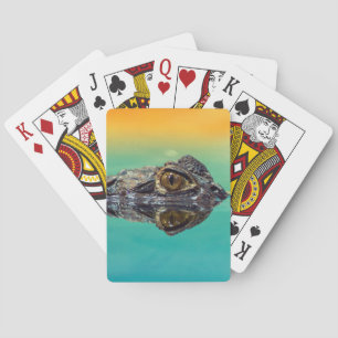 Green Baby Crocodile in Water with Blue and Orange Poker Cards