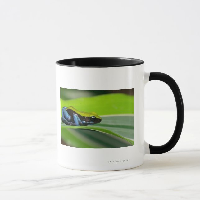 Green-backed mantella mug (Right)