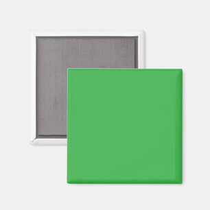 Green Background and White Border for a Modern Aes Magnet