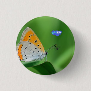 Green background & yellow,white butterfly & spider button