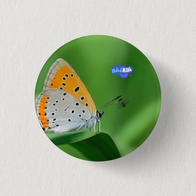 Green background & yellow,white butterfly & spider button (Front)