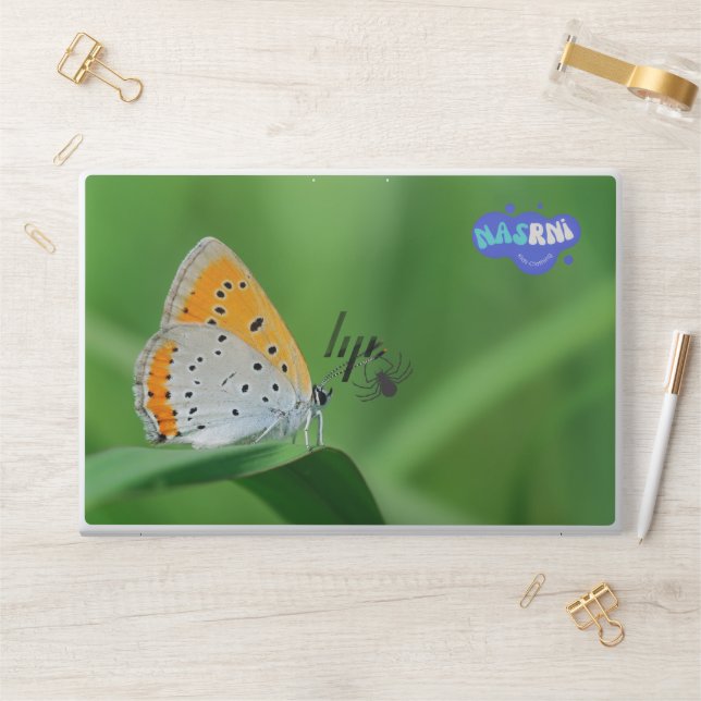 Green background & yellow,white butterfly & spider HP laptop skin (Desk)
