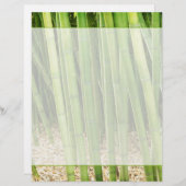 Green Bamboo (Front/Back)