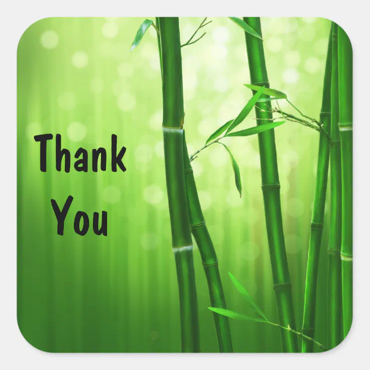 Green Bamboo and Bokeh Lights Thank You Square Sticker | Zazzle