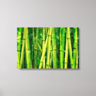 Green Bamboo Canvas Print