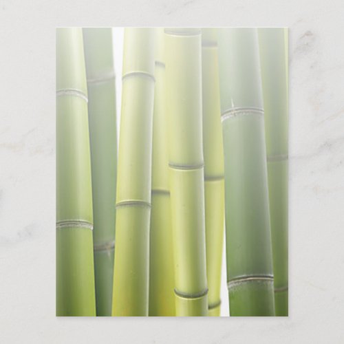 Green Bamboo Grove Spa Skin Care Massage Salon Flyer