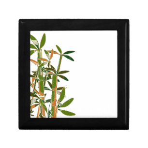 Green bamboo isolated on white background jewelry box