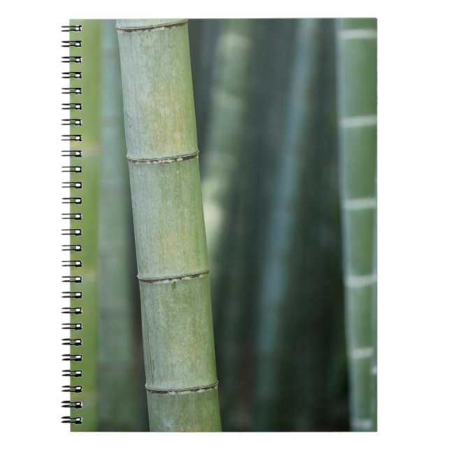 Green bamboo shoots notebook (Front)