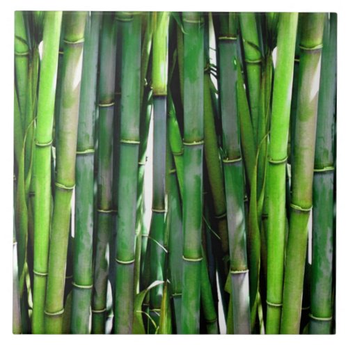 Green Bamboo Stalks Nature Photography Ceramic Tile