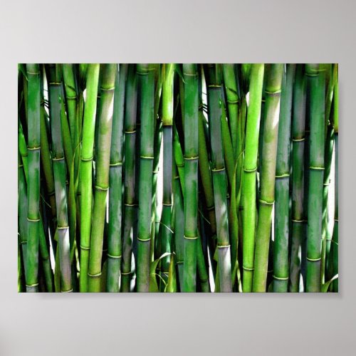 Green Bamboo Stalks Nature Photography Poster