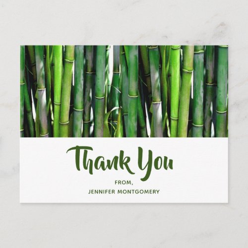 Green Bamboo Stalks Nature Photography Thank You Postcard