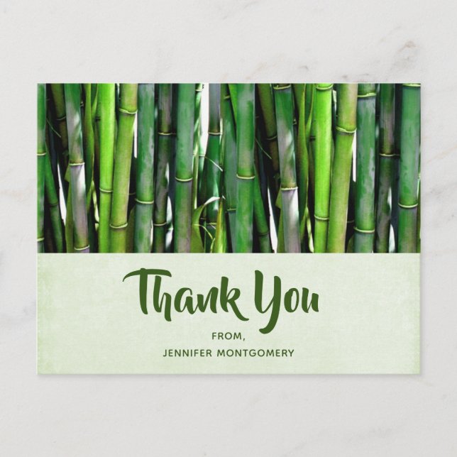 Green Bamboo Stalks Nature Photography Thank You Postcard (Front)