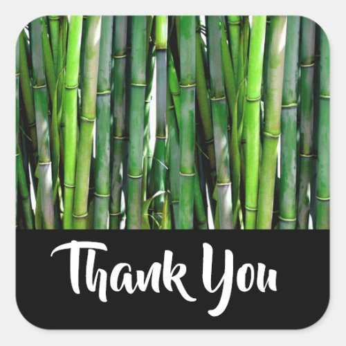 Green Bamboo Stalks Nature Photography Thank You Square Sticker