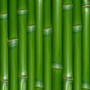 bamboo wrapping paper zazzle