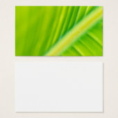 green banana leaf (Front & Back)