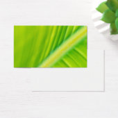 green banana leaf (Desk)