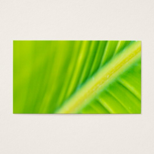 green banana leaf (Front)