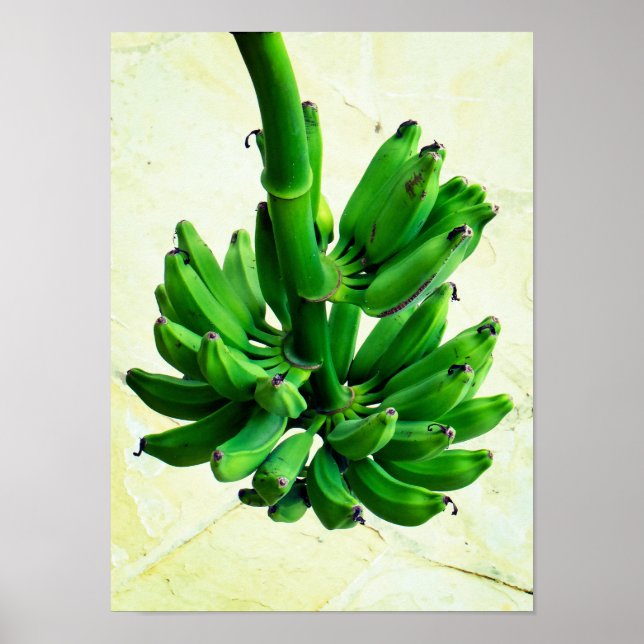 Green Bananas Poster (Front)