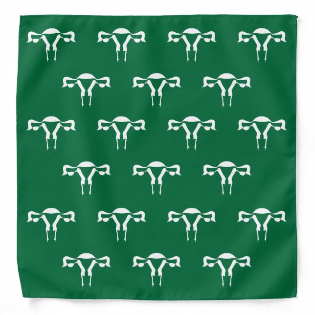 Green Bandana for Abortion Rights Pro Choice Roe (Front)