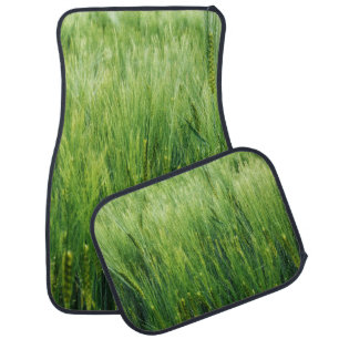 Green barley field, spring closeup. car floor mat