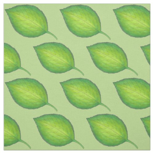 Green Basil Leaf Leaves Italian Herb Garden Food Fabric