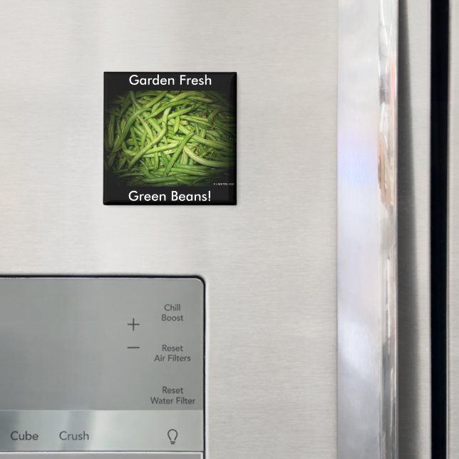 Green Beans in Spotlight Magnet (In Situ (Fridge))