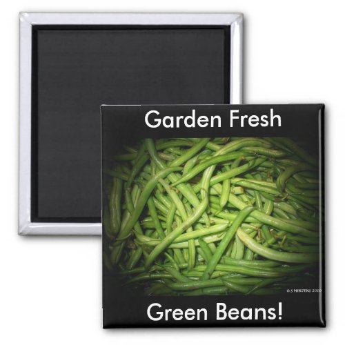 Green Beans in Spotlight Magnet