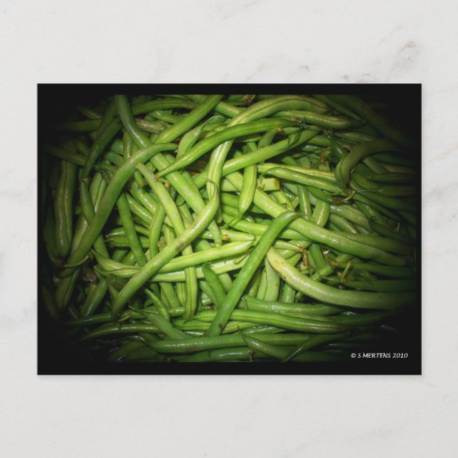 Green Beans in Spotlight Postcard (Front)