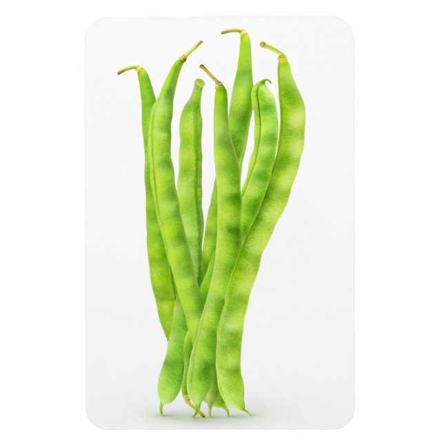 Green beans magnet (Vertical)