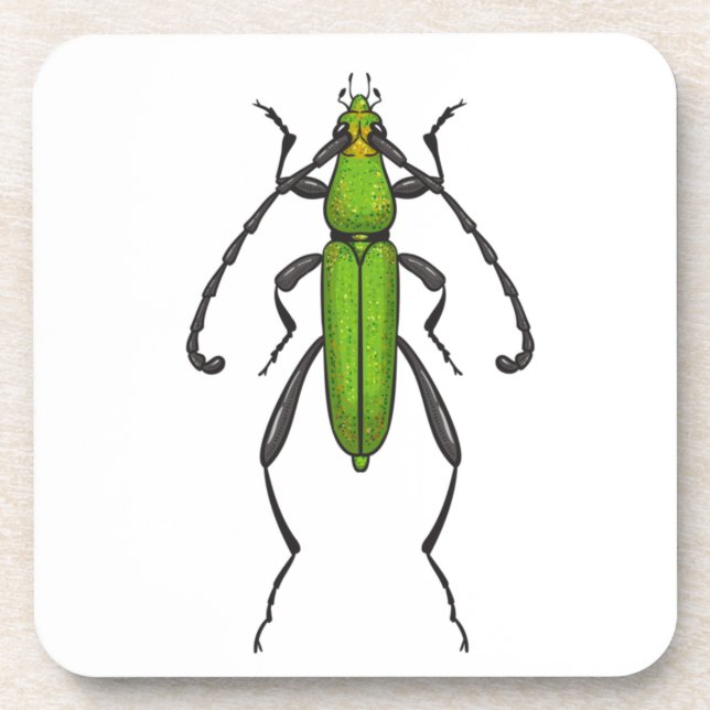 Green beetle beverage coaster (Front)
