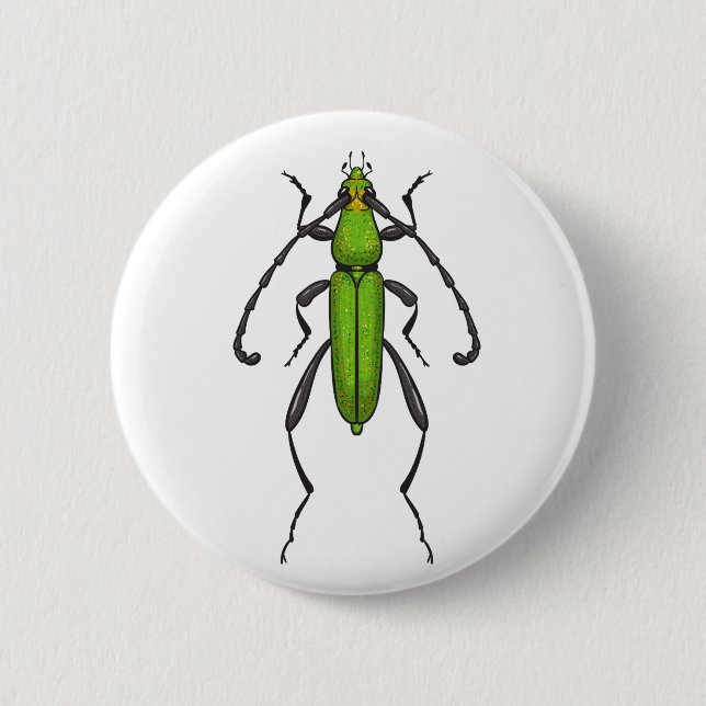 Green beetle button (Front)