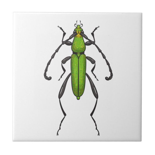 Green beetle ceramic tile (Front)