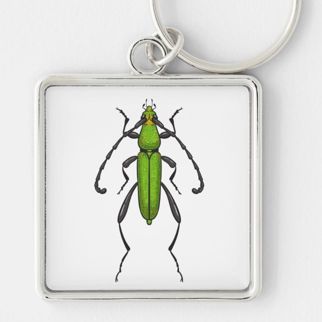 Green beetle keychain (Front)