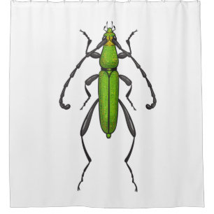 Green beetle shower curtain