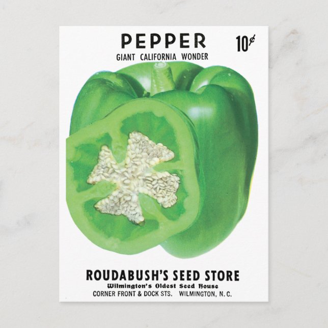 Green Bell Pepper Seed Packet Postcard (Front)