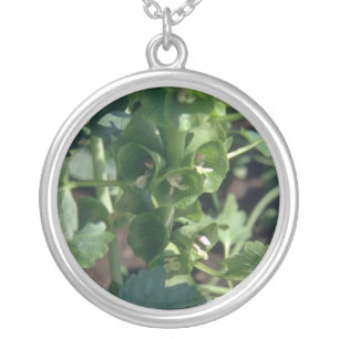 Green Bells Of Ireland (Moluccella Laevis) flowers Silver Plated Necklace