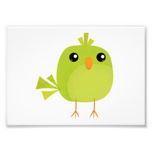 Green Bird Cartoon   Photo Print